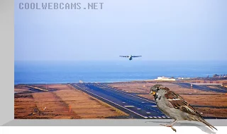 Lanzarote airport Webcam, Canary Islands