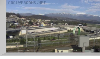 «Adler Ring» Webcam