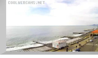 Adler webcam
