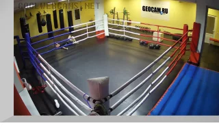 Webcam by the boxing ring «Saint Petersburg Academy of Boxing»