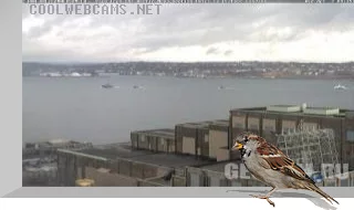 Bishops Landing Webcam