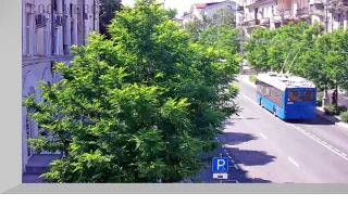 Bolshaya Morskaya Street Webcam in Sevastopol, Russia