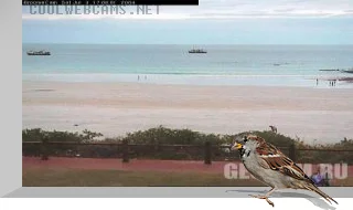 Broome Cable Beach