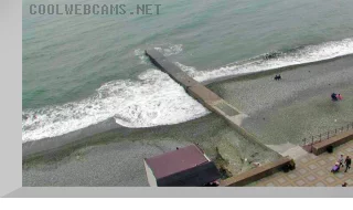 Adler, Seagull Beach webcam &, watch live in real time