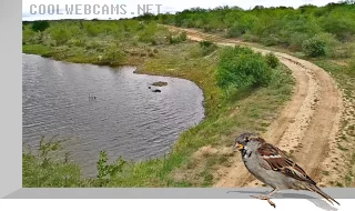 PTZ webcam at Dean's Dam, Maruleng, South Africa