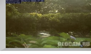 East Hampton NY Web Cam