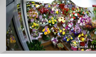 «Elite-Bouquet» Webcam