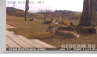 Fort Peck Lake from Sunlite Dreams Cam