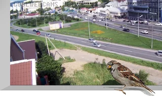 Webcam on Gogolya Street, Vladivostok
