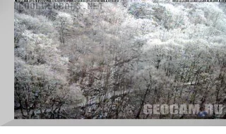 Harz mountains funicular webcam