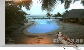 Kuredu Island Live Webcam