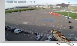 Webcam in the Curling Centre of Sochi