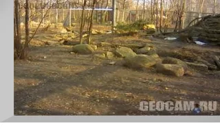 Leopard Webcam, Tallinn