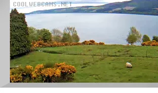 Loch Ness Live Cam