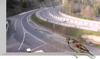 Mamaysky Pass Webcam