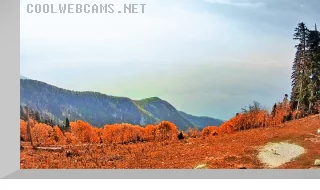 Webcam on Mount Mamzyshha: sea view