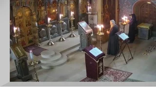 Webcam in the Archangel Michael Church, the village of Mikhailovskaya Sloboda