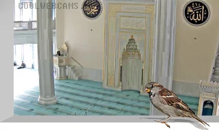 Webcam in the prayer hall of the Moscow Cathedral Mosque