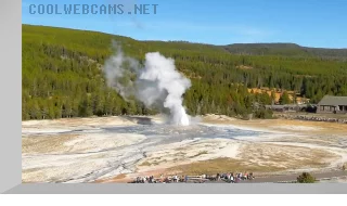 Old Faithful Geyser Webcam, USA