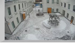 Webcam on Palikha Street, Moscow
