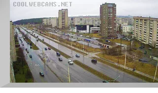 Crosswalk on Lososinsk Highway