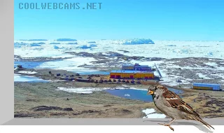 Webcam of the Russian Antarctic station «Progress»