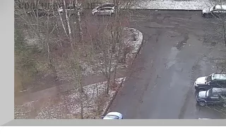 Webcam on Zheleznodorozhnaya Street, 62A, Pushkin