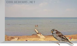 Webcam on the shore of the Taman Bay in the settlement of Sennoy