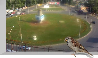 Webcam at the crossroads Shekhurdin and Builders