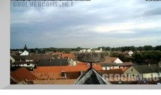 Stork nest webcam