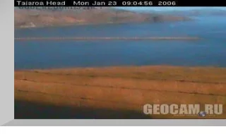 Taiaroa Heads webcam