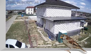 Webcam in the cottage village «Tikhaya Zavod»