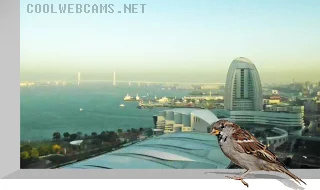 Yokohama port live cam